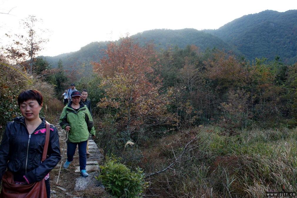 DSC02166_缩小大小.jpg
