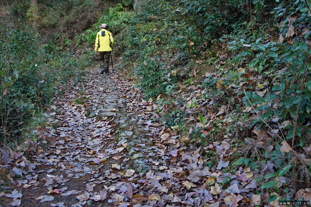 DSC02167_缩小大小.jpg