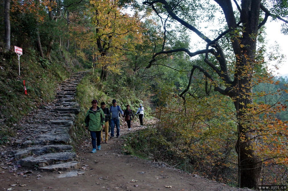 DSC02175_缩小大小.jpg