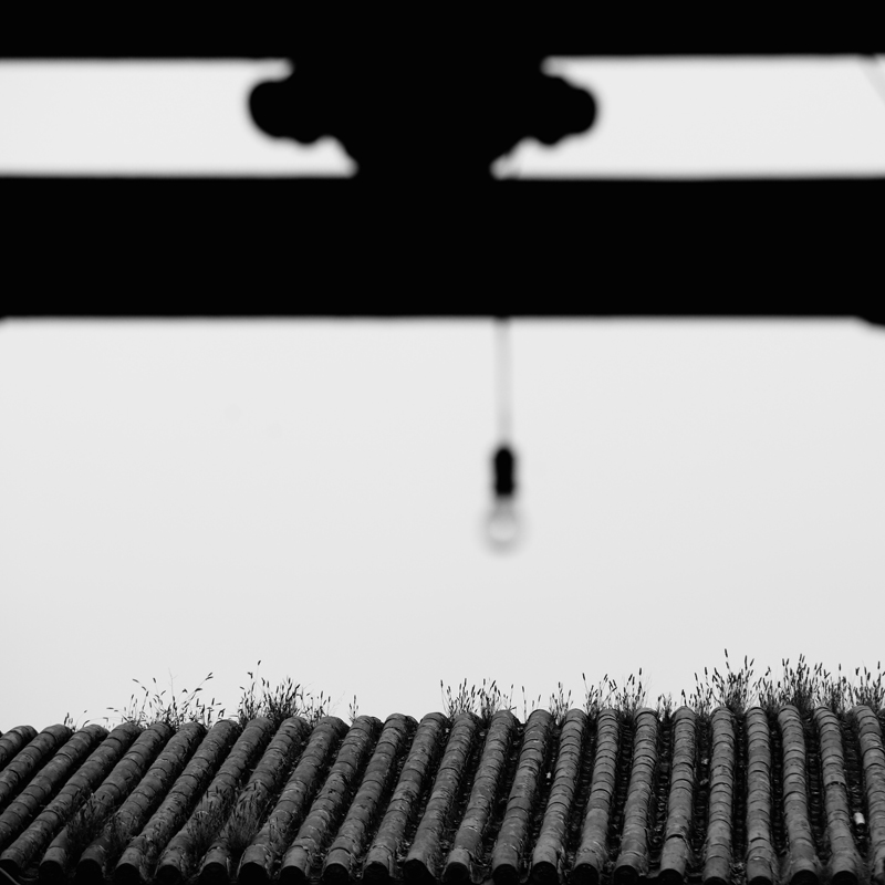 04-0436-1.jpg
