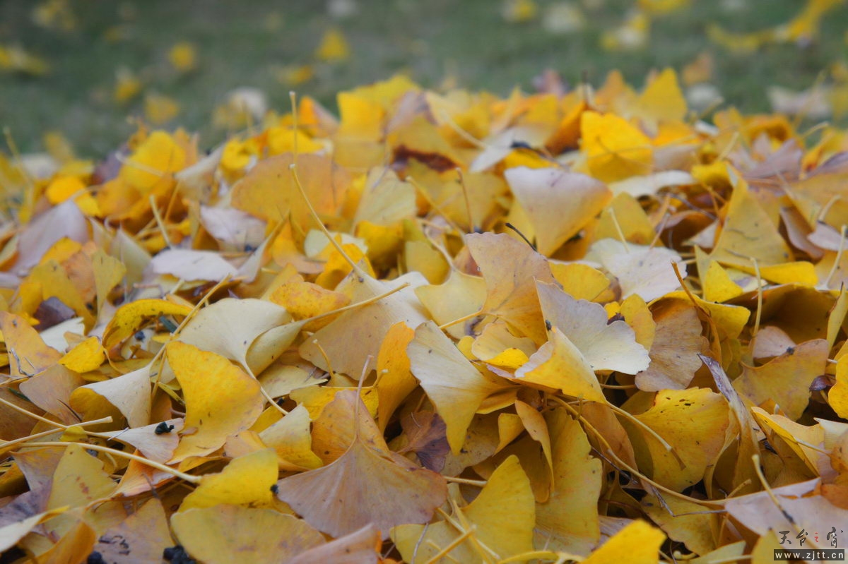 DSC02363_缩小大小.jpg