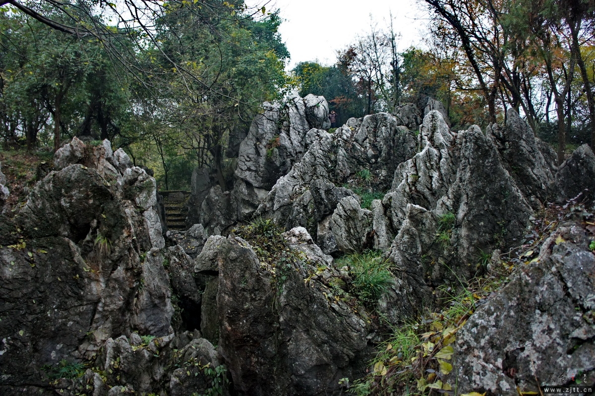 DSC02432.JPG