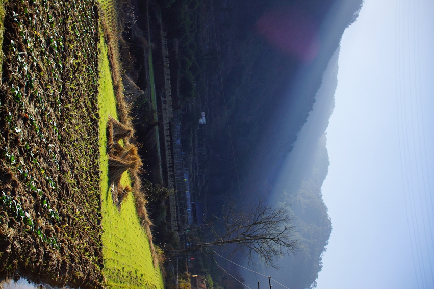 DSC04309.JPG