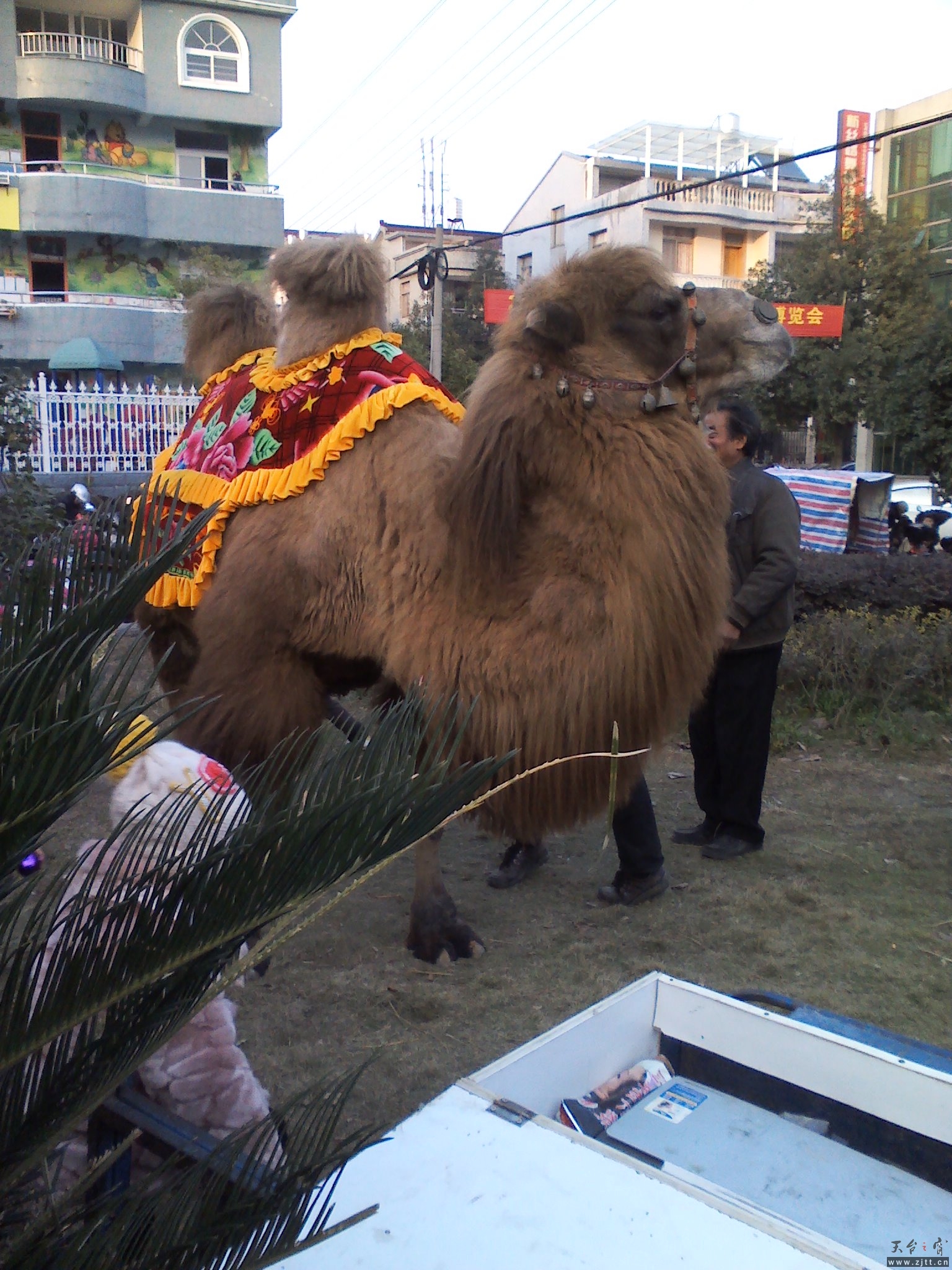 YP20121219161253.jpeg