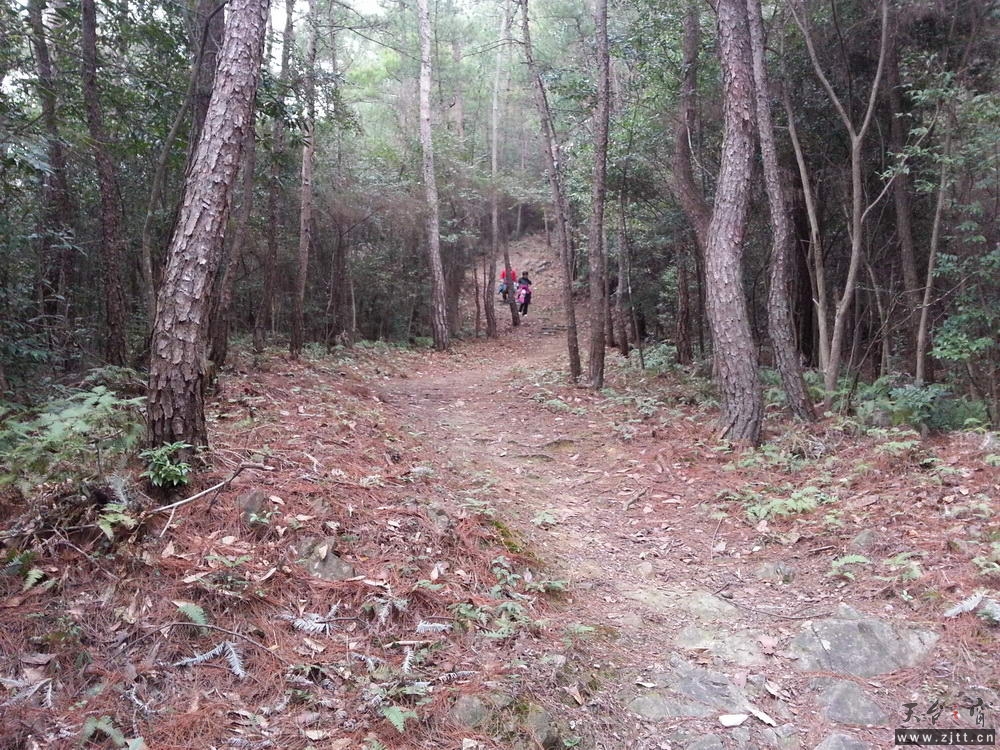 20121225_153828_缩小大小.jpg