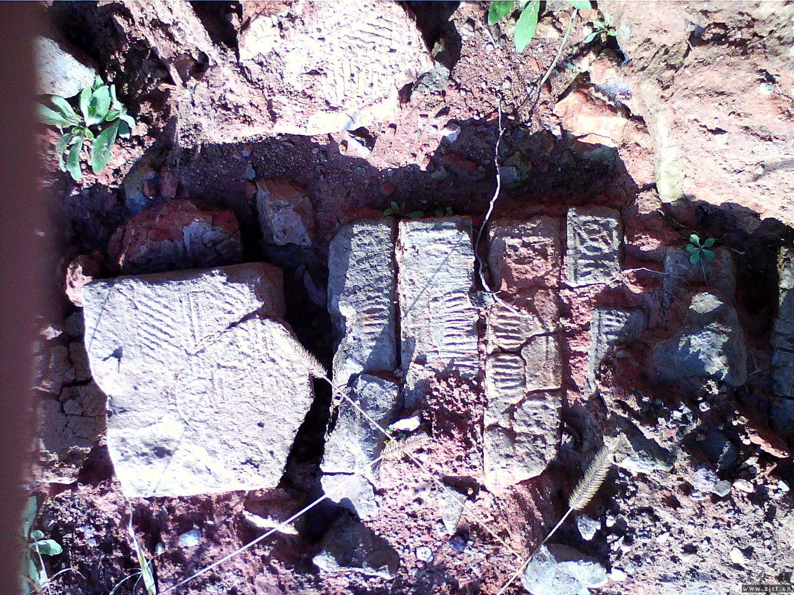 2012-11-19 10.20.25.jpg