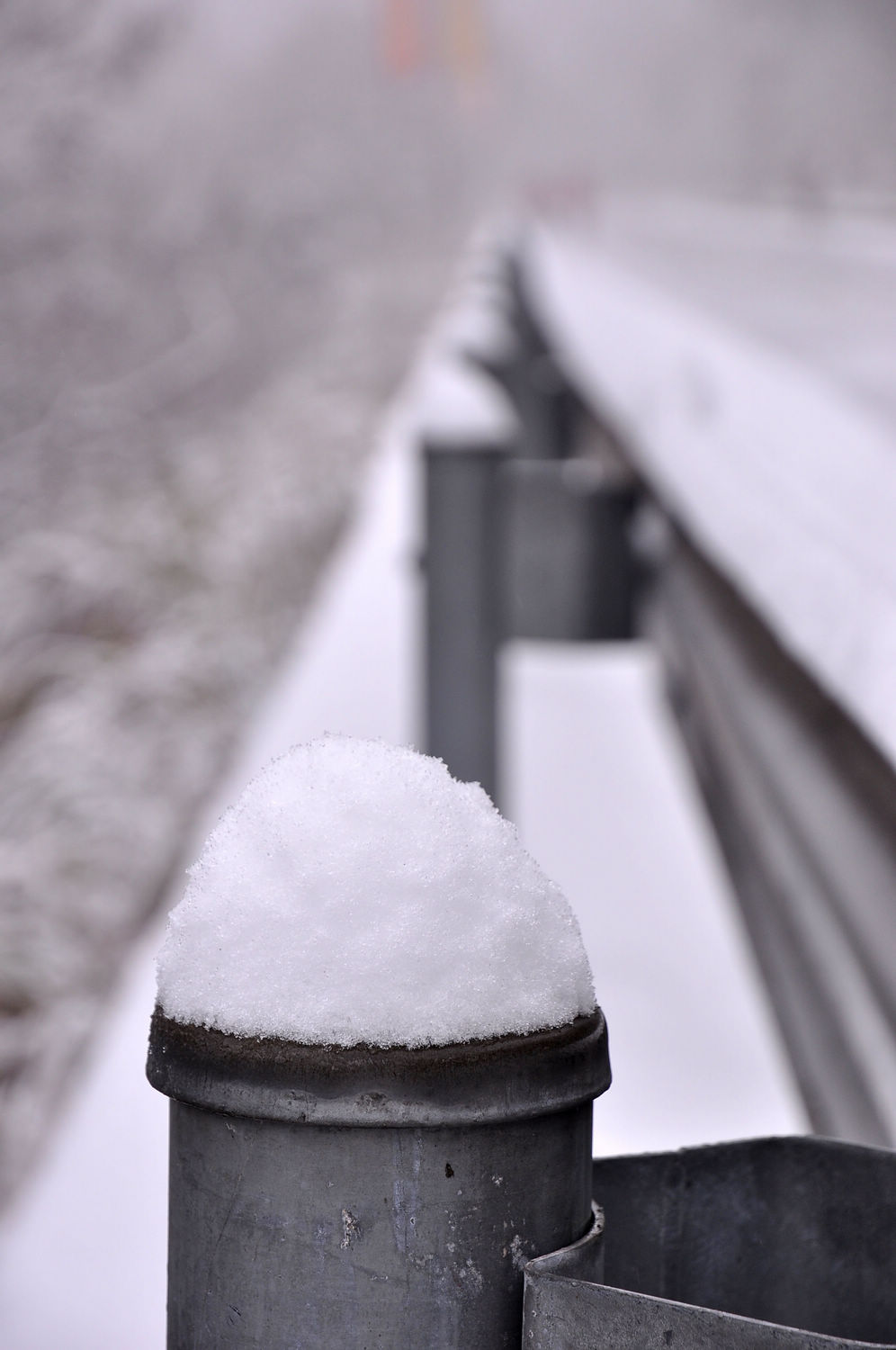 DSC_2095.jpg