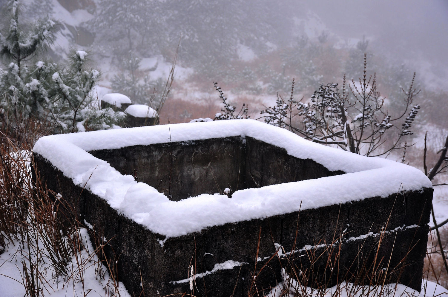 DSC_2169.jpg