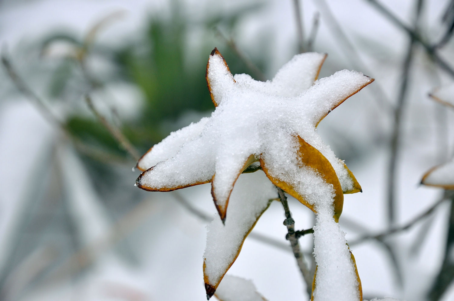 DSC_2249.jpg