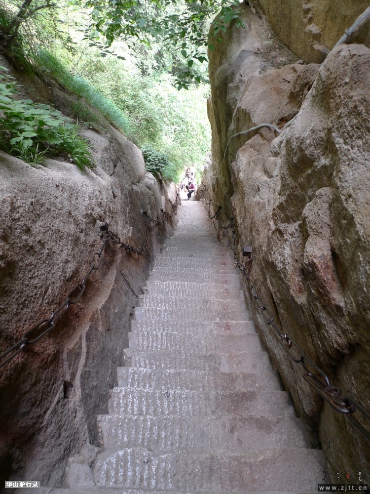 P1150199.jpg