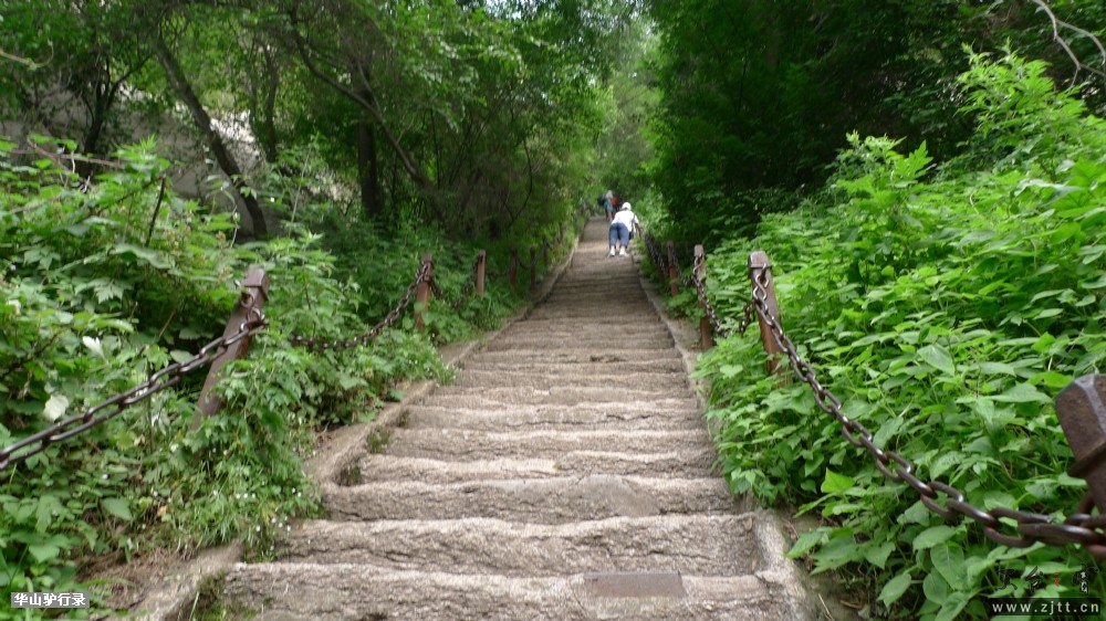 P1150245.jpg