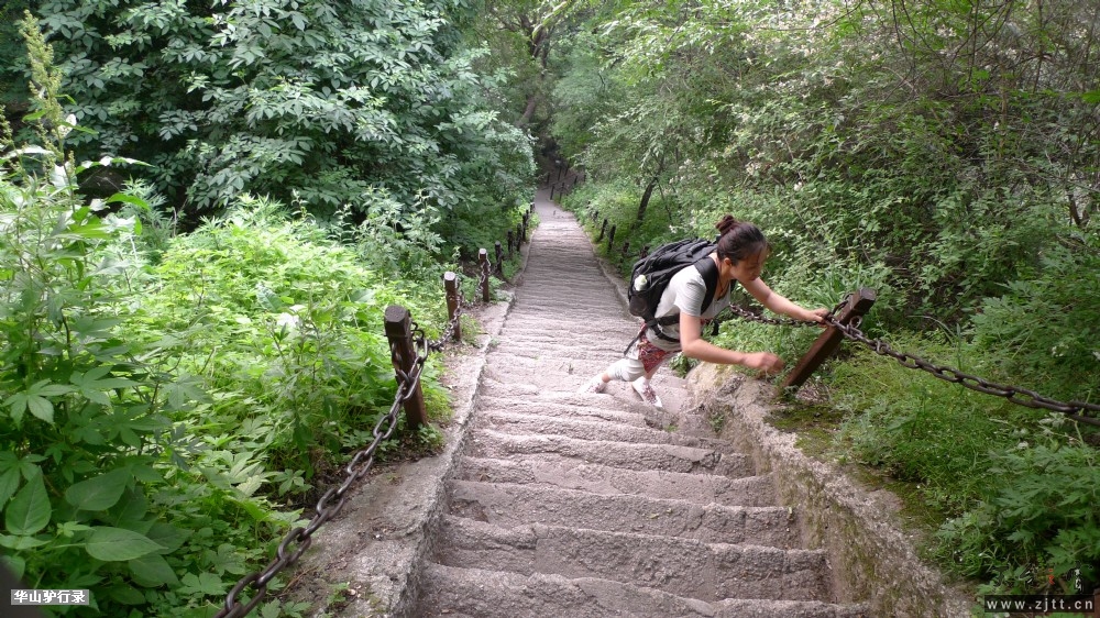 P1150249.jpg