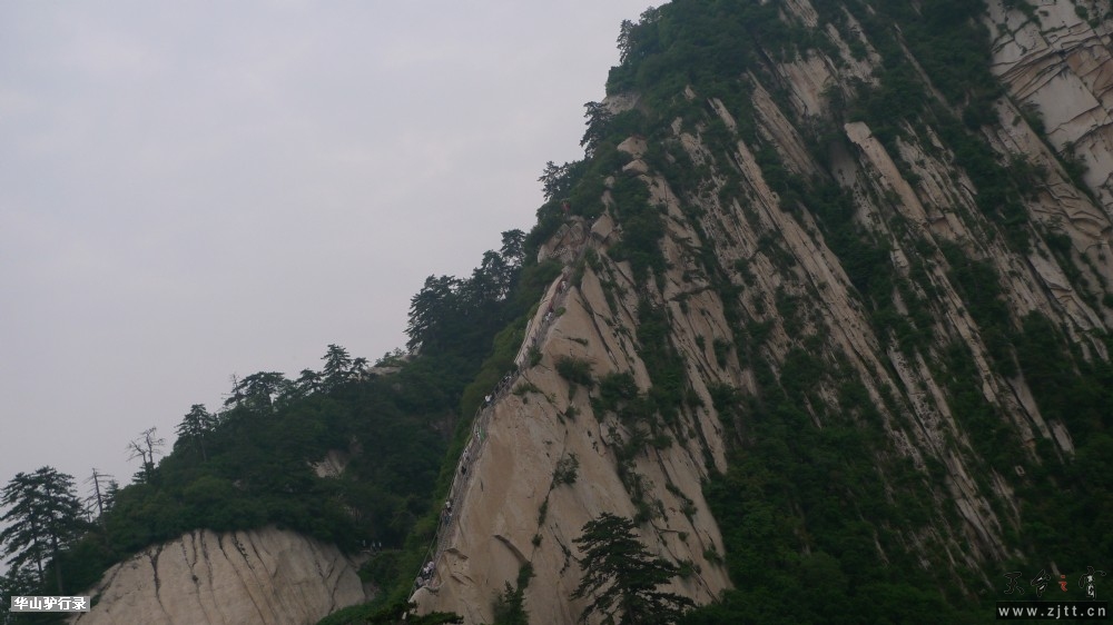 P1150320.jpg