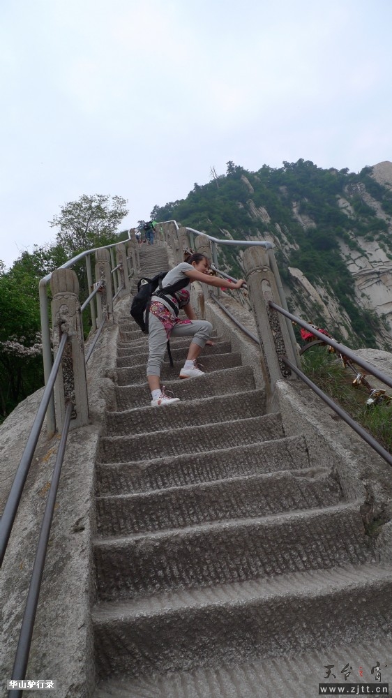 P1150327.jpg