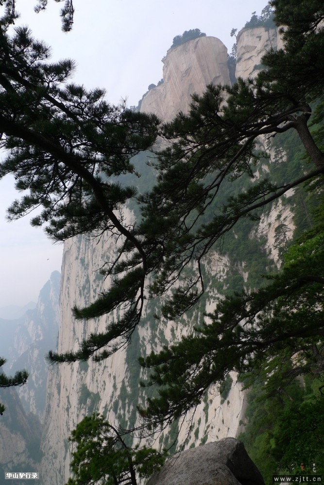 P1150584.jpg