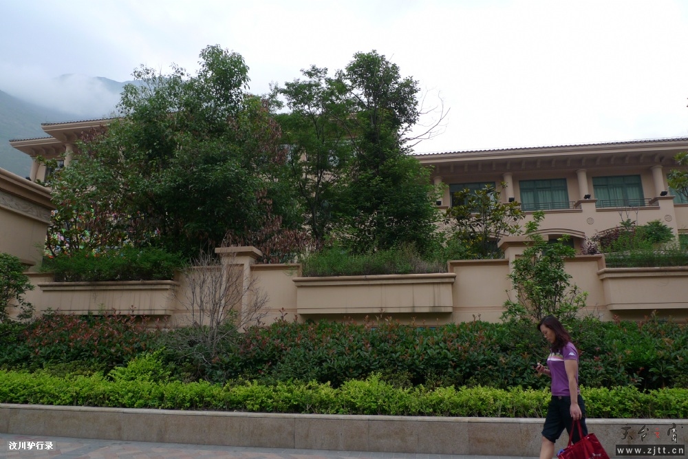 P1150631.jpg
