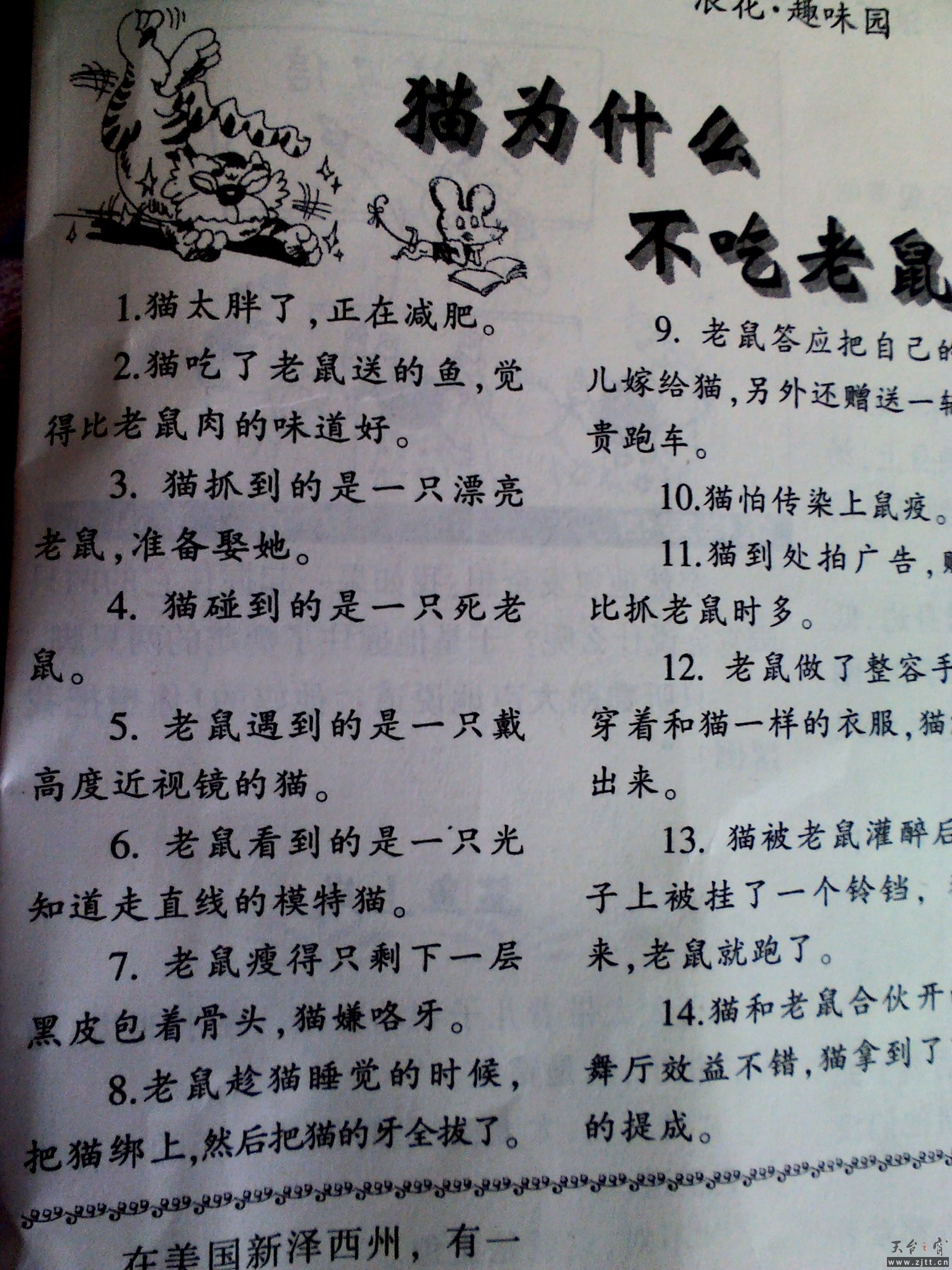 YP20121223150916.jpeg