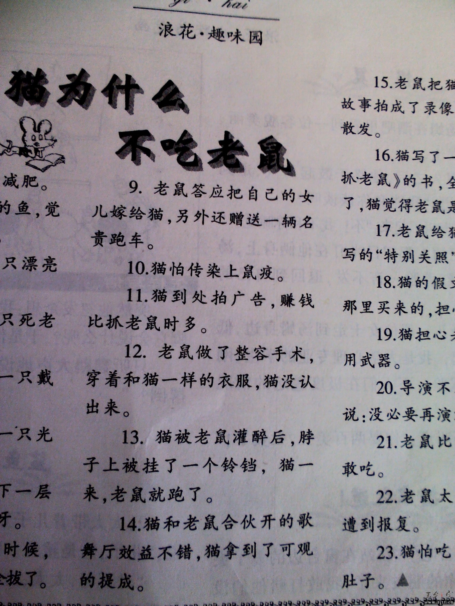 YP20121223150936.jpeg