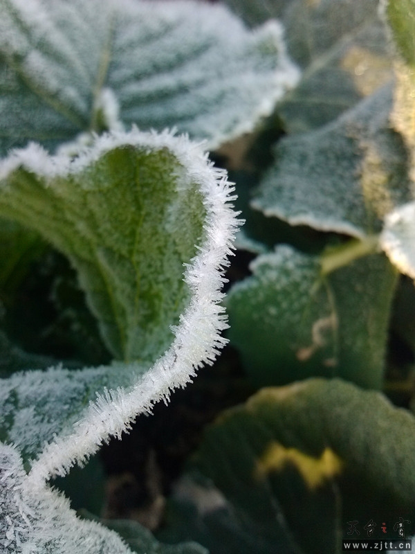 IMG_20130119_082949_副本.jpg