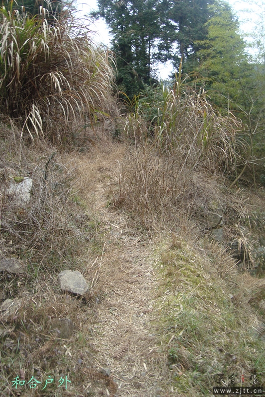 DSC04611_副本.jpg