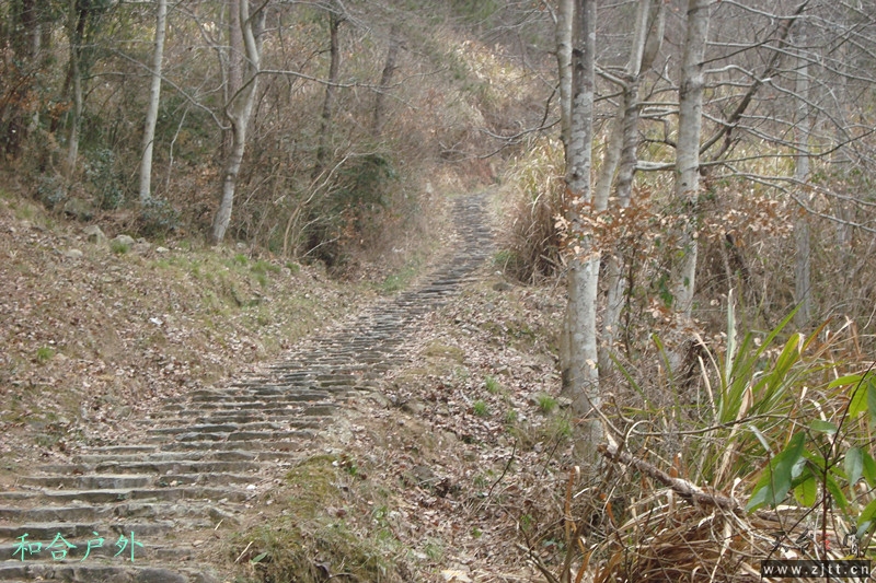 DSC04638_副本.jpg