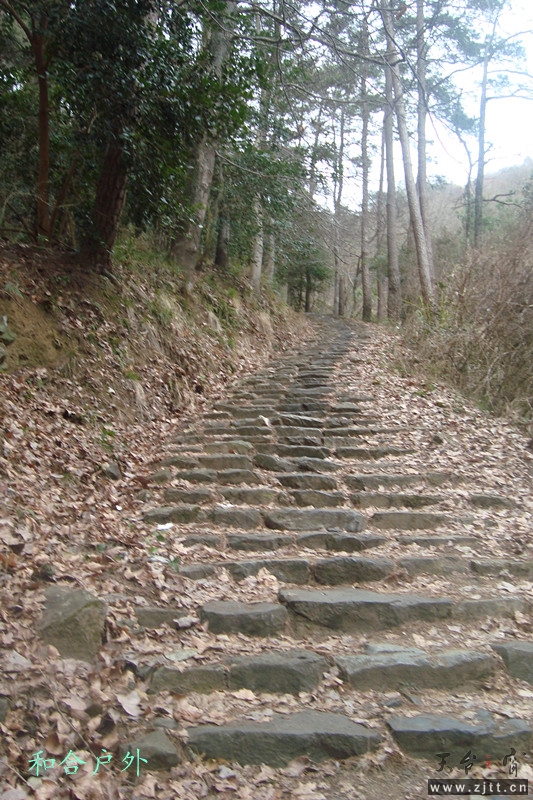 DSC04652_副本.jpg