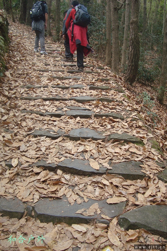 DSC04687_副本.jpg