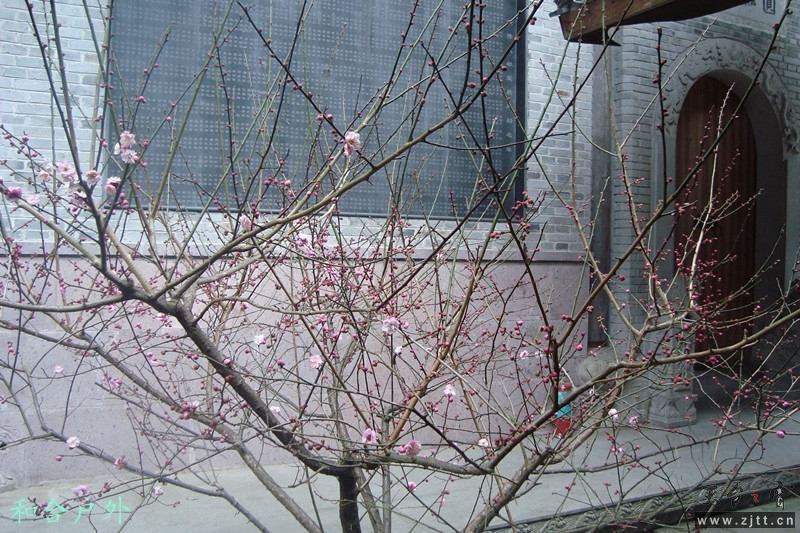DSC04768_副本.jpg