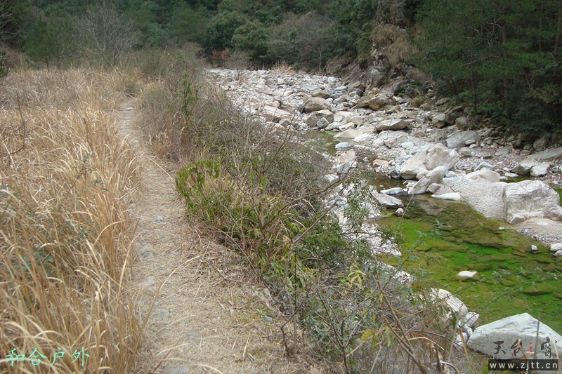 DSC04806_副本.jpg
