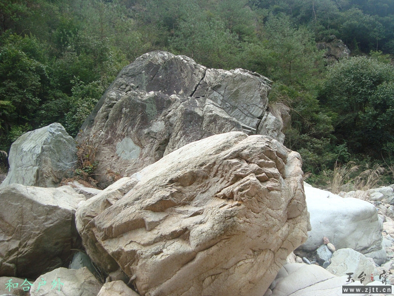 DSC04870_副本.jpg