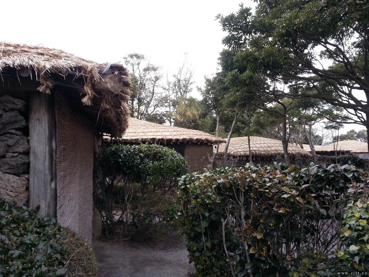 20130130_151018-1.jpg