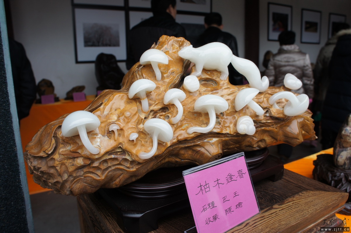 DSC04110_调整大小.JPG