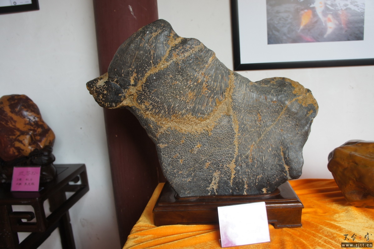 DSC04121_调整大小.JPG