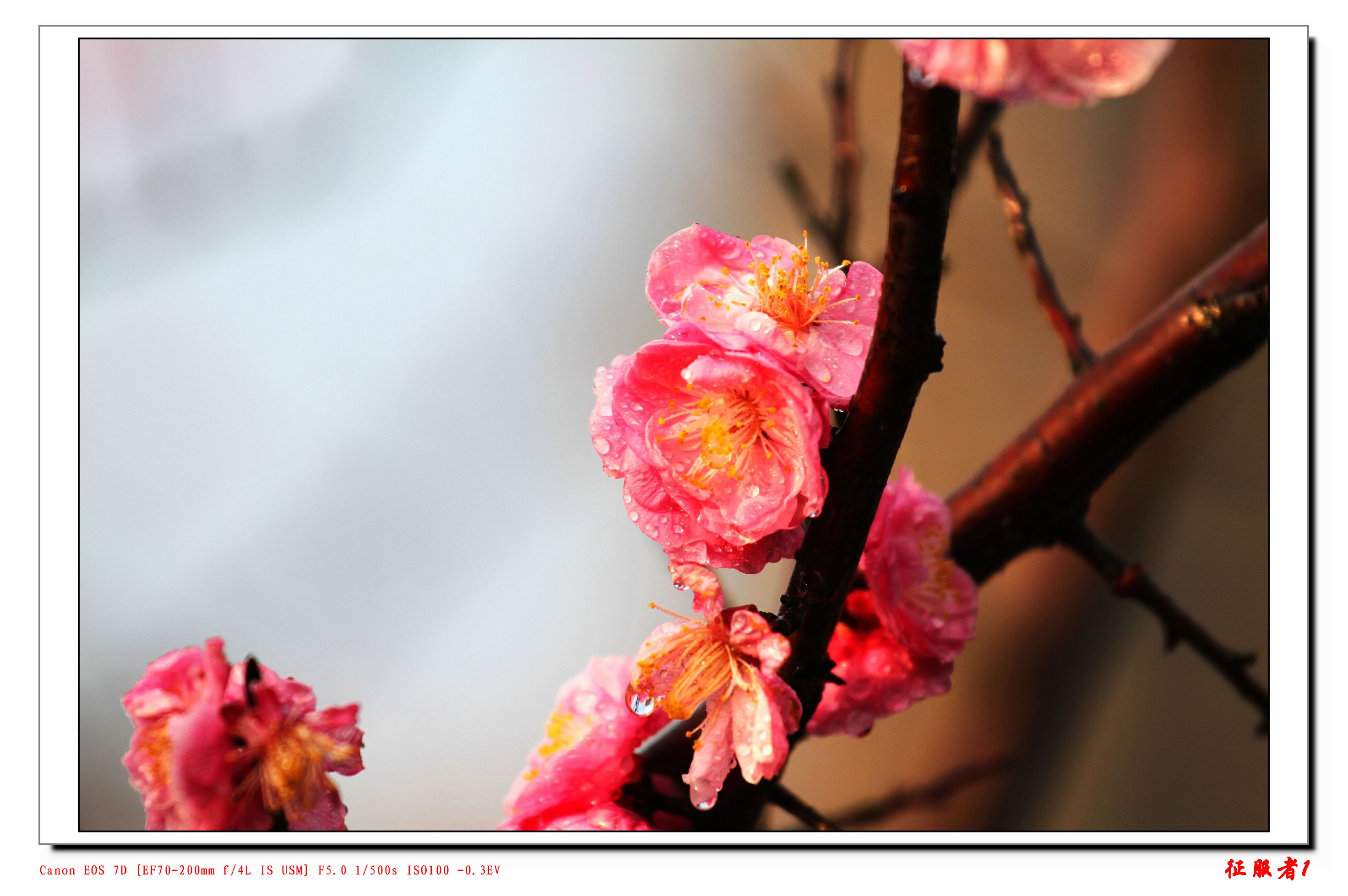 IMG_8773.jpg
