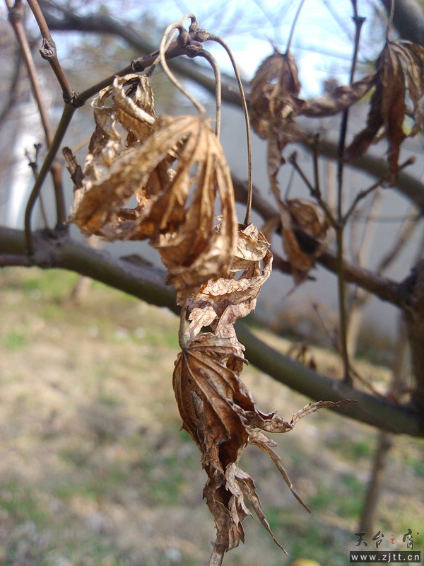 img_20130228_140229_1_副本.jpg