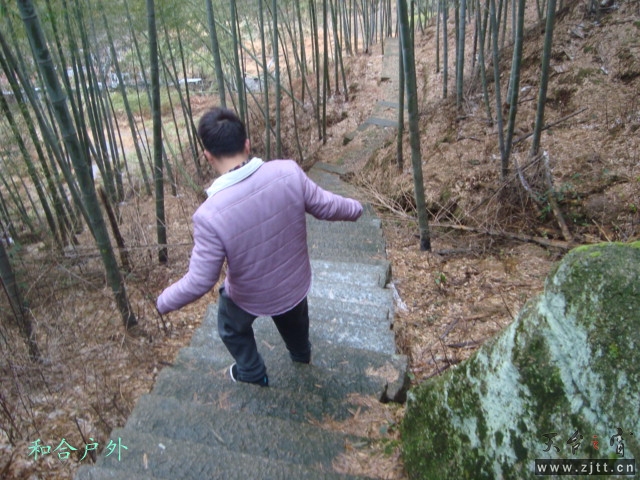 DSC05386_副本.jpg