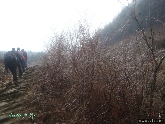 DSC05467_副本.jpg