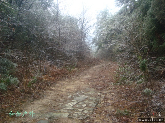 DSC05485_副本.jpg
