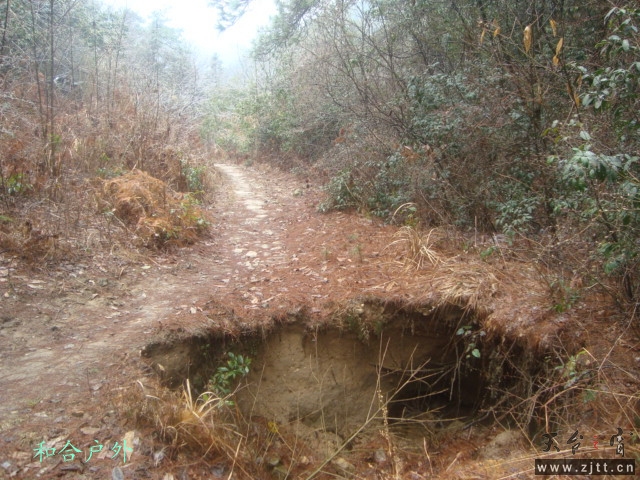 DSC05488_副本.jpg
