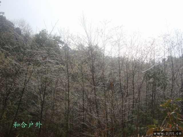 DSC05494_副本.jpg
