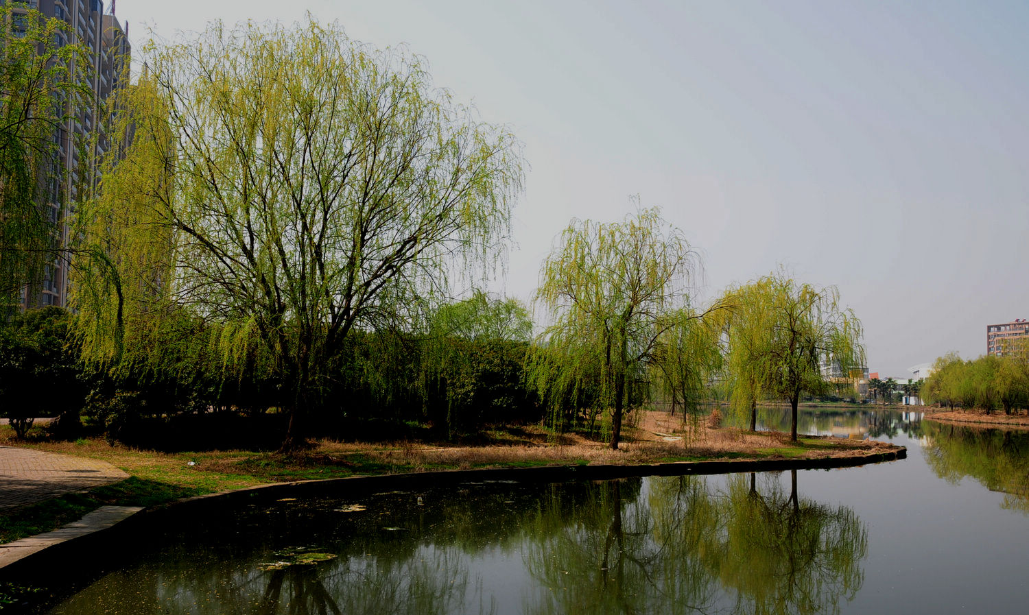 DSC_2280.JPG