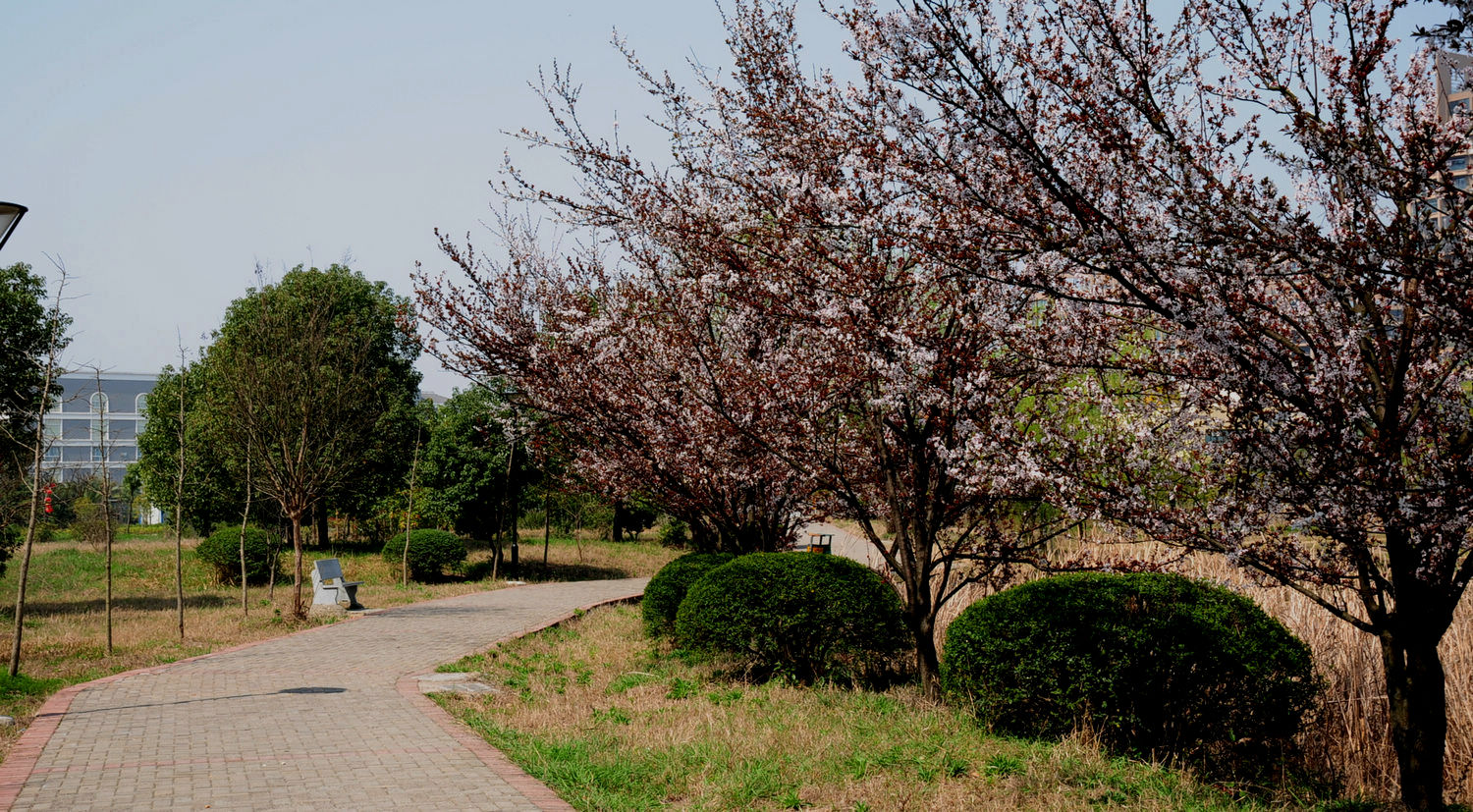 DSC_2293.JPG