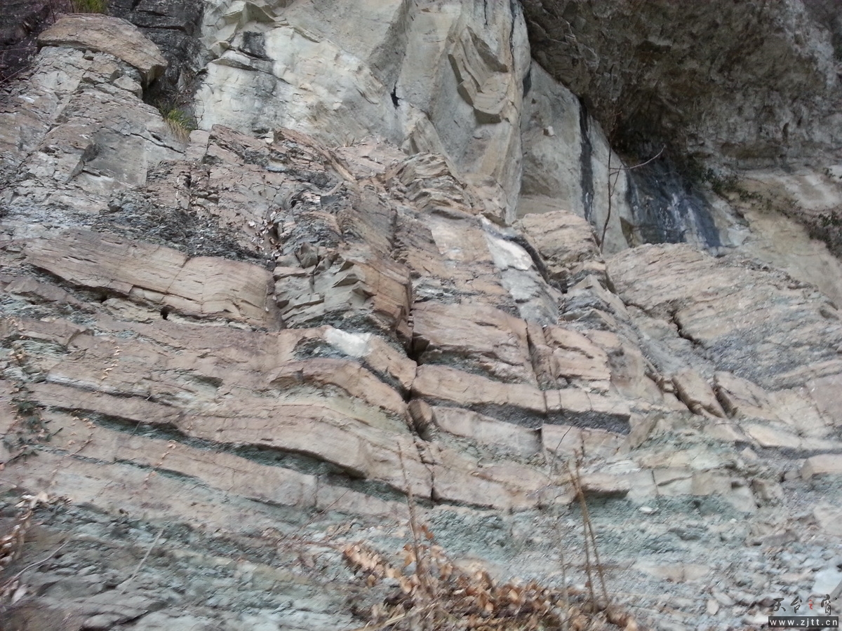 20130310_172013_调整大小.jpg