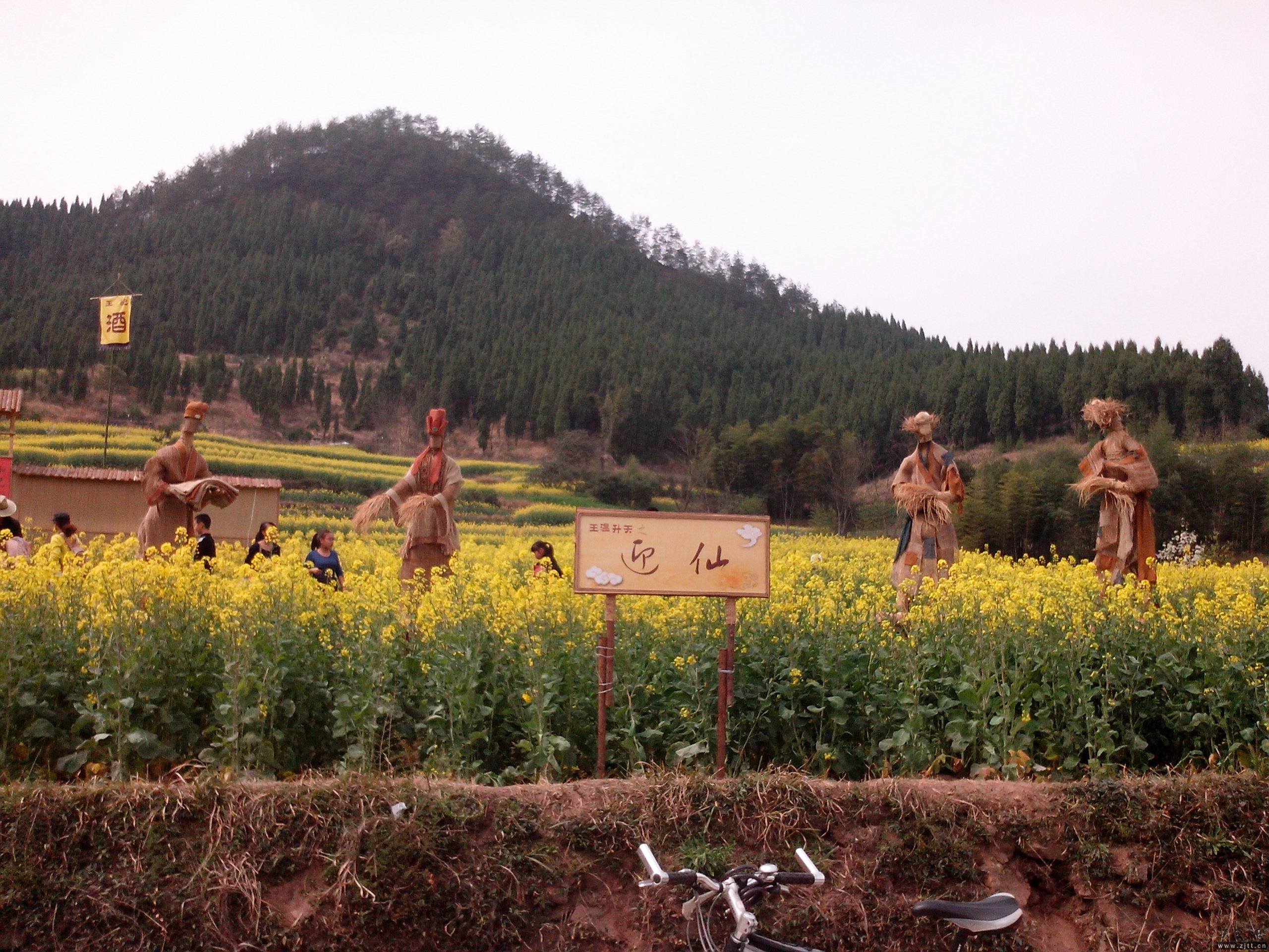 IMG_20130316_131543.jpg