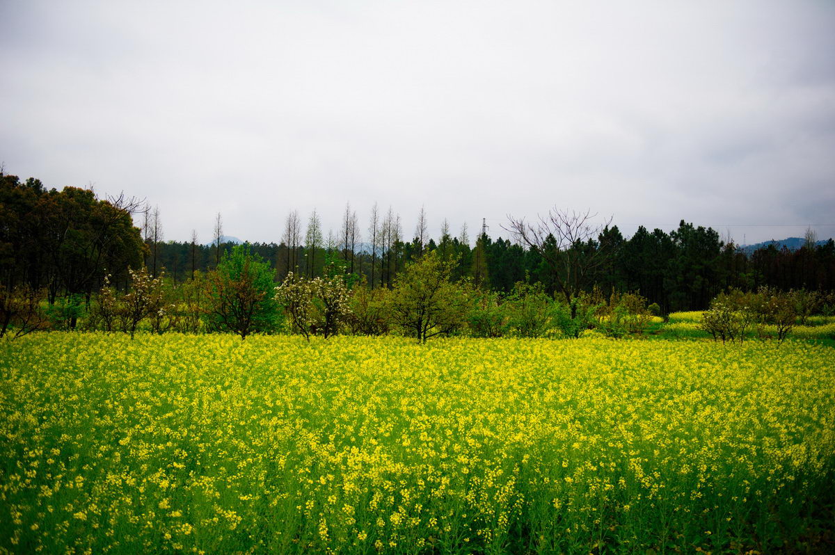 DSC_5238_调整大小.jpg