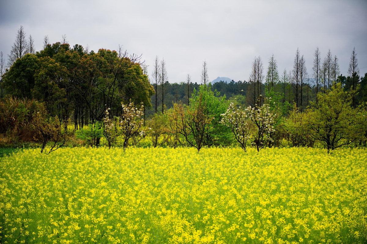 DSC_5249_调整大小.jpg
