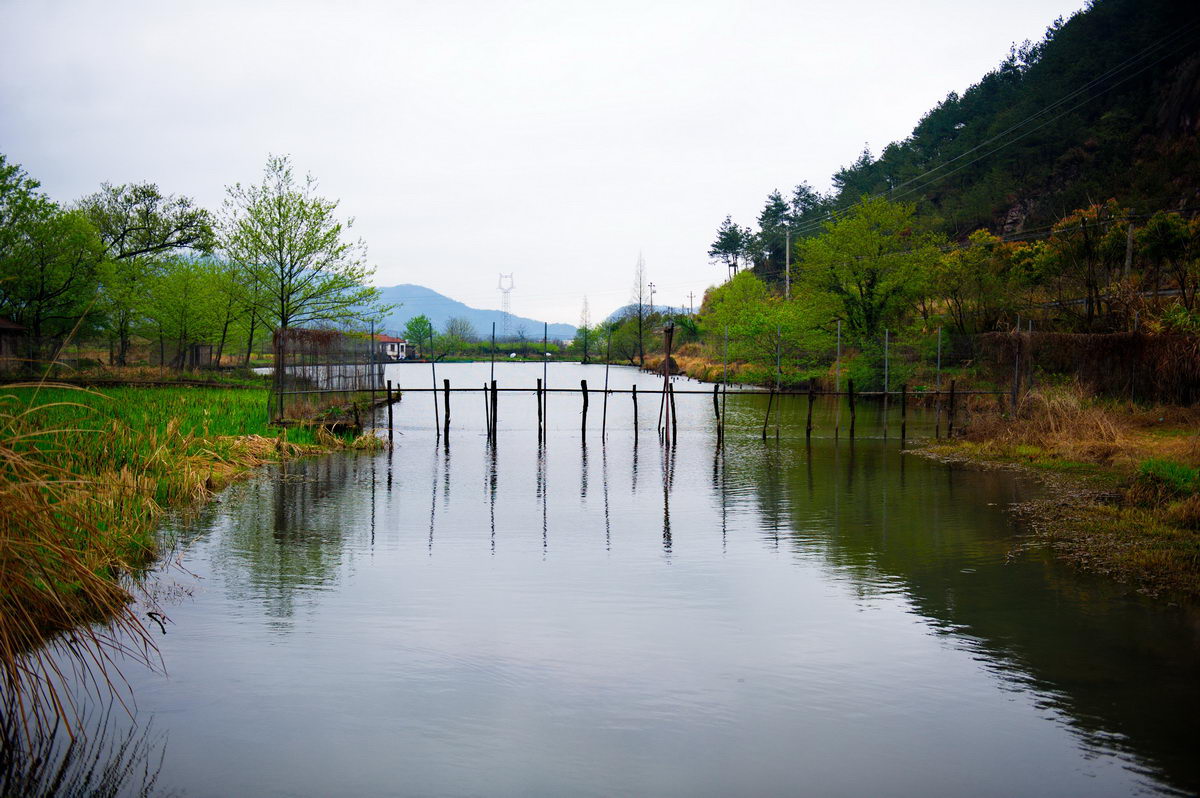 DSC_5270_调整大小.jpg