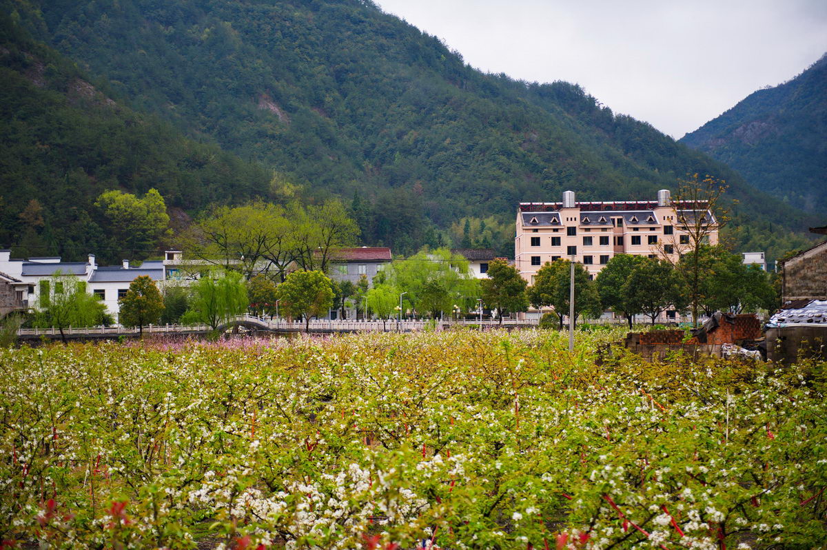 DSC_5274_调整大小.jpg