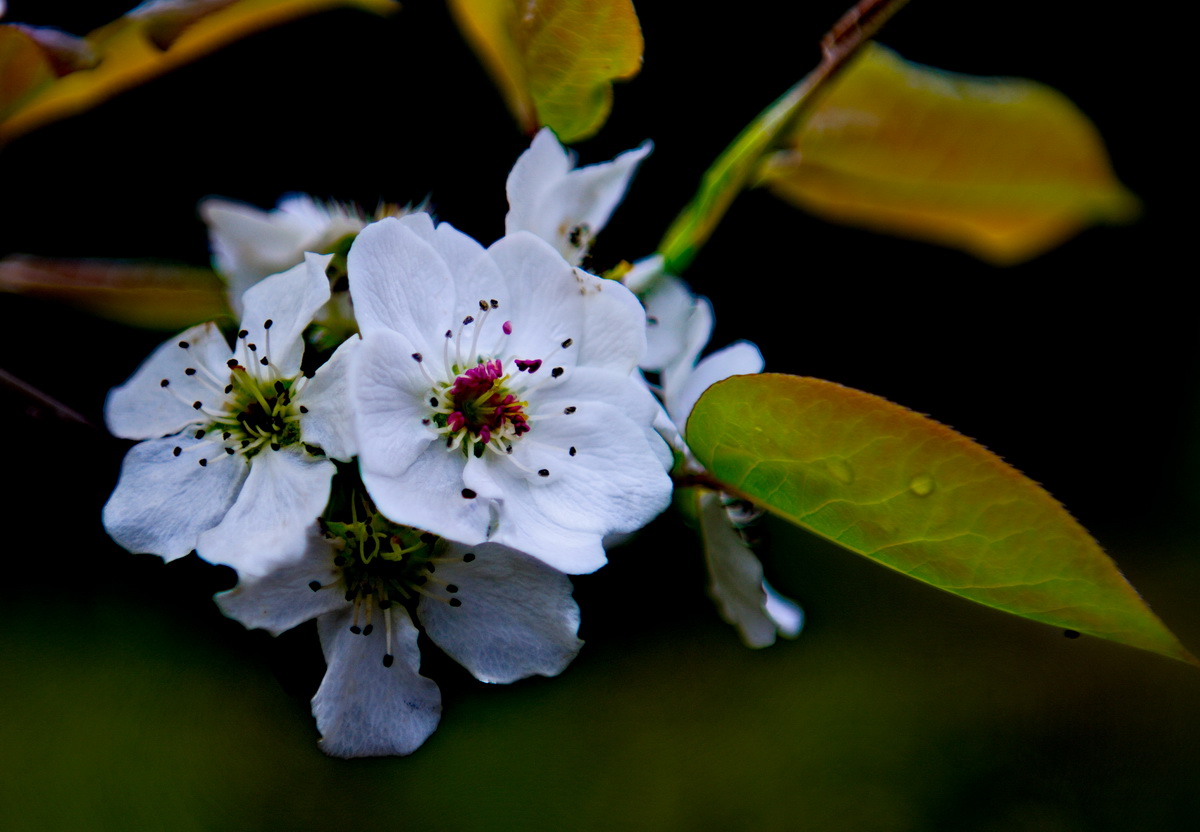 DSC_5292_调整大小.jpg