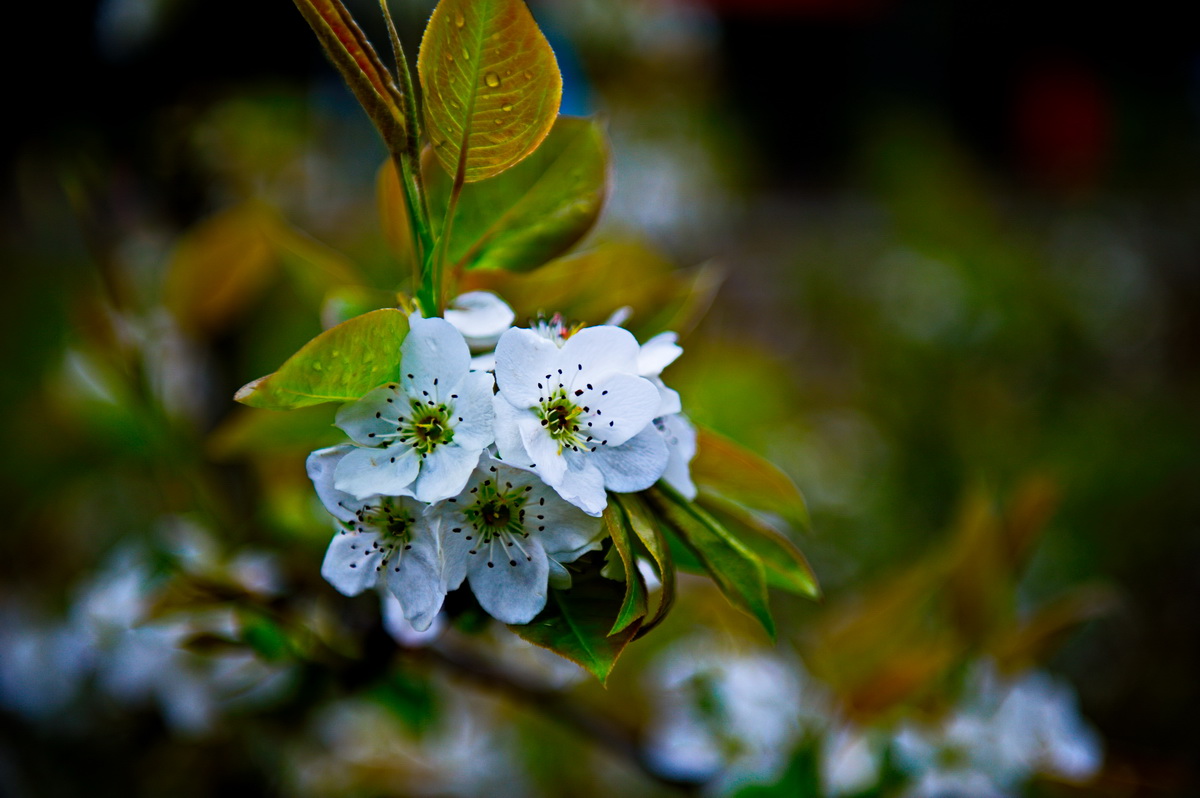 DSC_5295_调整大小.jpg